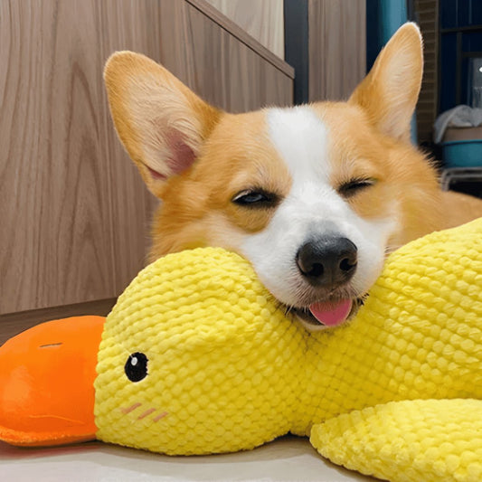 Best Friends Calming Duck Toy